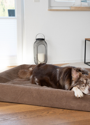 Hundebett KUDDE Cord