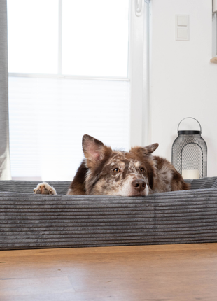 Hundebett KUDDE Cord
