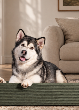 Hundebett KUDDE Cord
