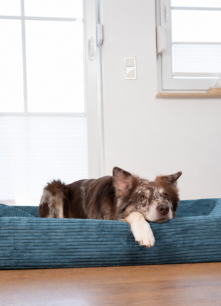 Hundebett KUDDE Cord