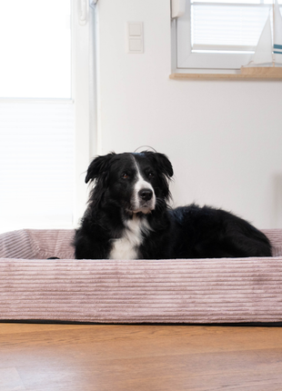Hundebett KUDDE Cord