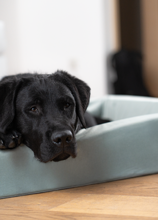 Bezug für KUDDE Samt