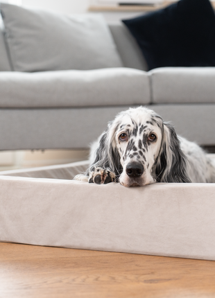 Hundebett KUDDE Samt
