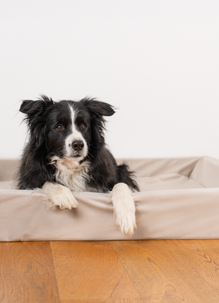Hundebett KUDDE Samt