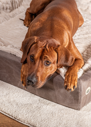 Hundebett KUDDE veganes Wildleder