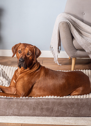 Hundebett KUDDE veganes Wildleder