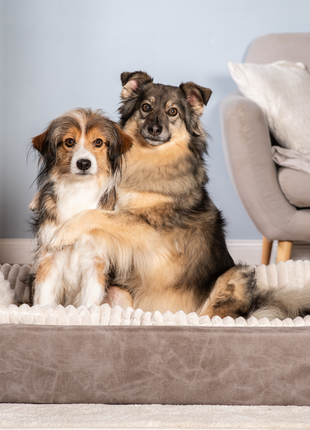 Hundebett KUDDE veganes Wildleder