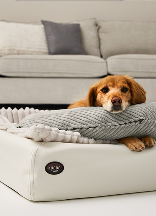 SCHMUSEHÖRNCHEN Cord