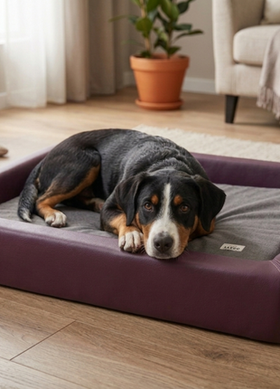 Orthopädisch-Plus Bundle | KUDDE Hundebett + Mumin Einlage Alltid