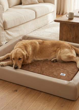 Orthopädisch-Plus Bundle | KUDDE Hundebett + Mumin Einlage Alltid