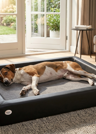 Orthopädisch-Plus Bundle | KUDDE Hundebett + Mumin Einlage Alltid