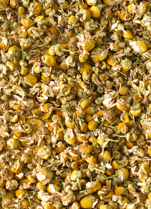 Kamille Pferd 1kg ganze Blüte