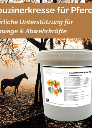 Kapuzinerkresse Pferd 1kg