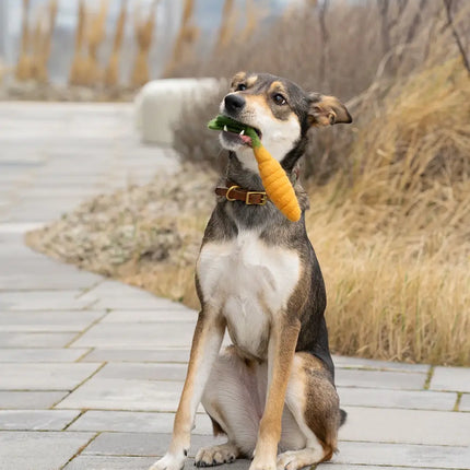 BUDDY. Hundespielzeug aus Wollfilz "Karotte"