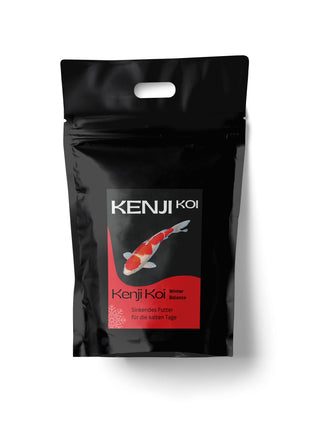 KENJI KOI Winter Balance - sinkend