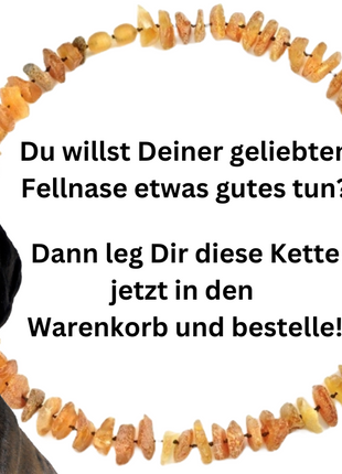 Hunde Bernsteinkette Sonne