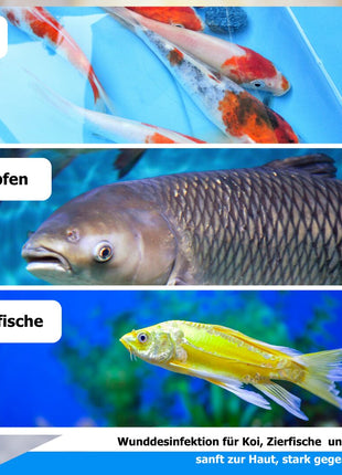AnoKath® Koi antiBac – Wundspray für Koi & Teichfische