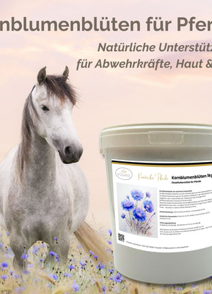 Kornblume Pferd 1kg