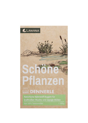 Schöne Pflanzen