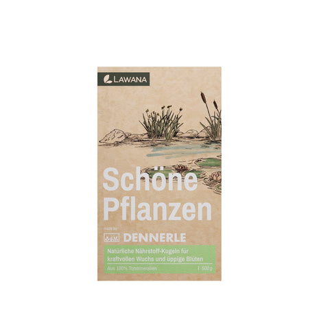 Schöne Pflanzen