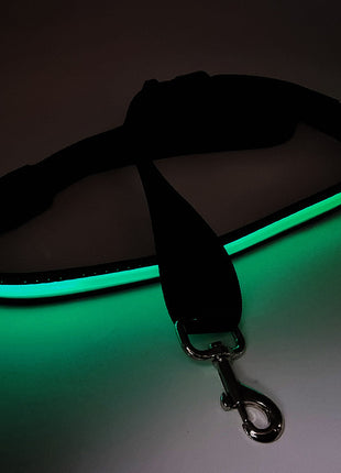 LED leuchtende Hundeleine mit USB, 120-150 cm
