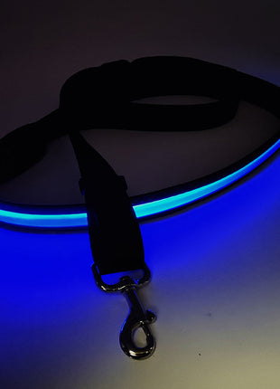 LED leuchtende Hundeleine mit USB, 120-150 cm
