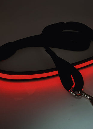 LED leuchtende Hundeleine mit USB, 120-150 cm