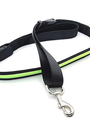LED leuchtende Hundeleine mit USB, 120-150 cm