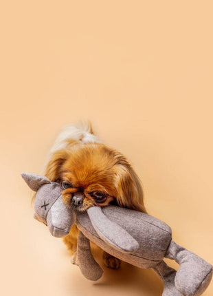 Kuscheltier FOXI der Fuchs mit Knisterohren und robustem Oekotex Stoff