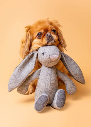 Kuscheltier RUPERT der Hase mit Knisterohren und robustem Oekotexstoff