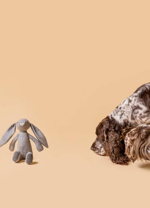 Kuscheltier RUPERT der Hase mit Knisterohren und robustem Oekotexstoff