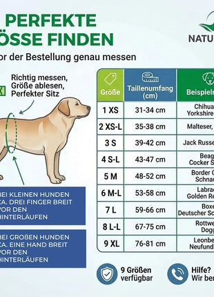 Läufigkeitshose für Hündinnen