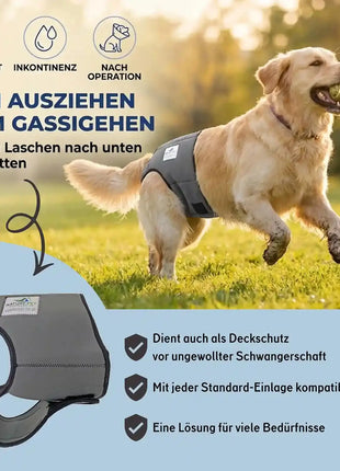 Läufigkeitshose für Hündinnen
