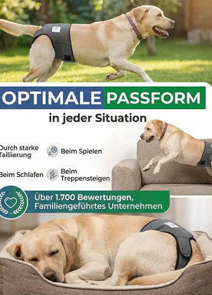 Läufigkeitshose für Hündinnen
