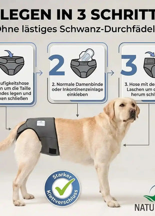 Läufigkeitshose für Hündinnen