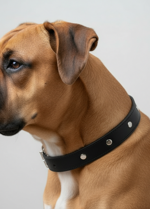Hunde Lederhalsband mit integrierter Bernsteinkette