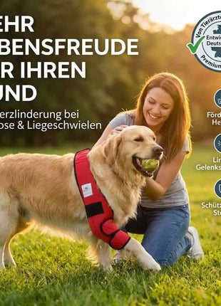 Liegeschwielen Bandage für Hunde