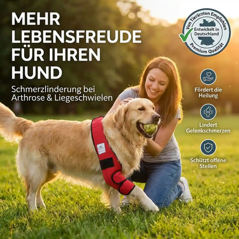 Pressure sore bandage for dogs