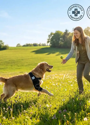Liegeschwielen Bandage für Hunde