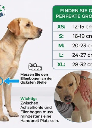 Liegeschwielen Bandage für Hunde