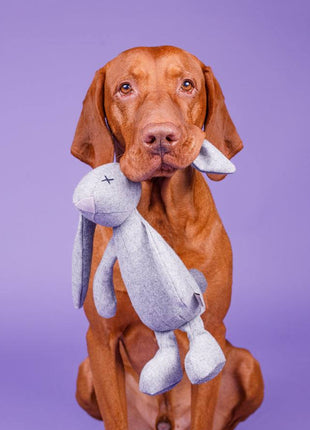 Kuscheltier RUPERT der Hase mit Knisterohren und robustem Oekotexstoff
