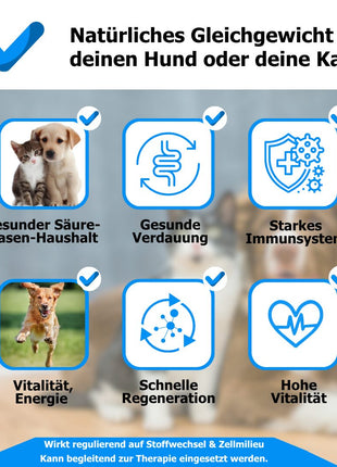 AnoKath® Liquid – Säure-Basen-Haushalt beim Hund unterstützen