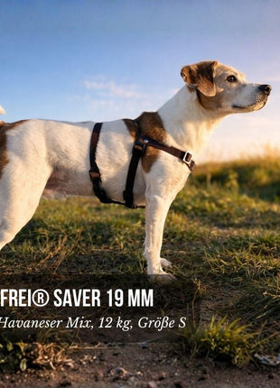 Anti-Stress-Geschirr STURMFREI® Saver für kleine bis mittlere Hunde
