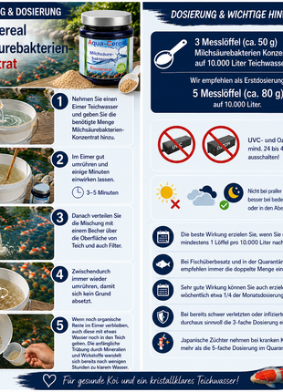 Milchsäurebakterien Pulver Konzentrat 1000 ml für ein bakterielles Gleichgewicht im Teich