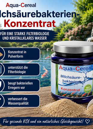 Milchsäurebakterien Pulver Konzentrat 1000 ml für ein bakterielles Gleichgewicht im Teich