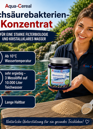 Milchsäurebakterien Pulver Konzentrat 1000 ml für ein bakterielles Gleichgewicht im Teich