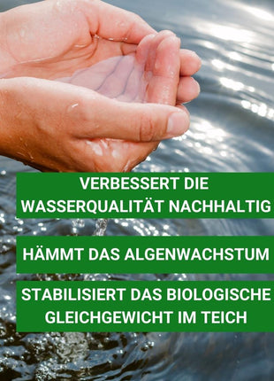 Milchsäurebakterien Pulver Konzentrat 1000 ml für ein bakterielles Gleichgewicht im Teich