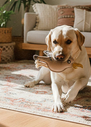 BUDDY. Hundespielzeug aus Leder "Möwe"