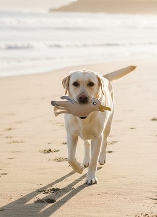 BUDDY. Hundespielzeug aus Leder "Möwe"