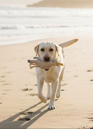 BUDDY. Hundespielzeug aus Leder "Möwe"